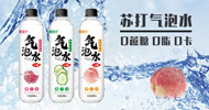 安徽阜陽握握手飲料有限公司